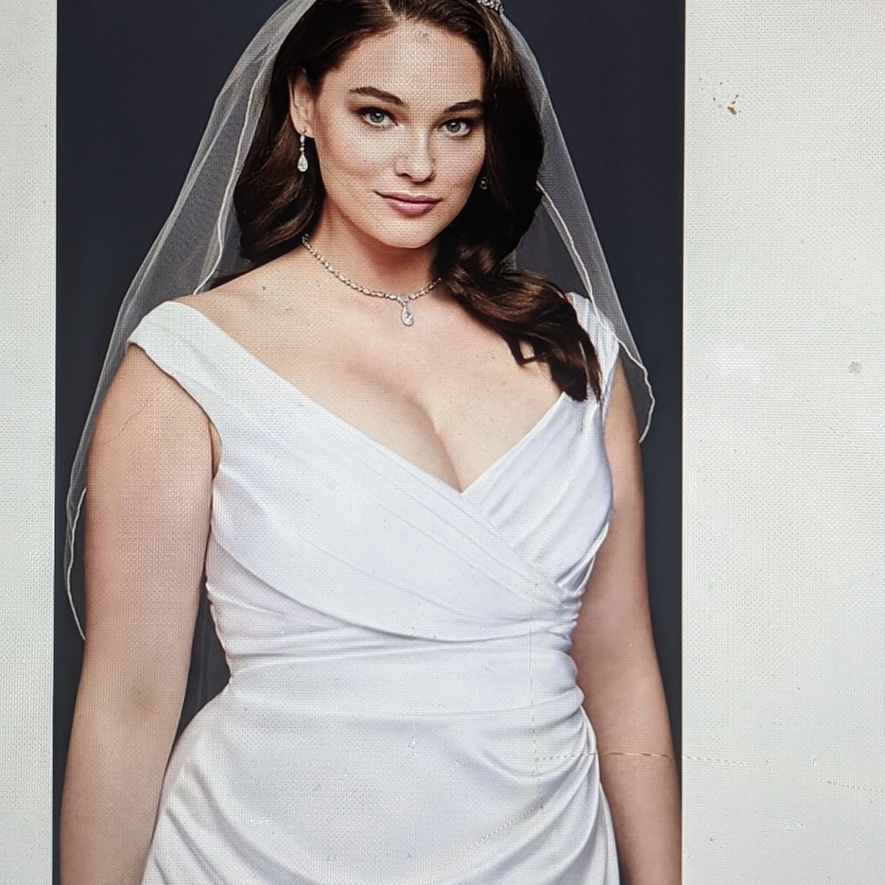 Wedding Dress - Picture 5 of 6